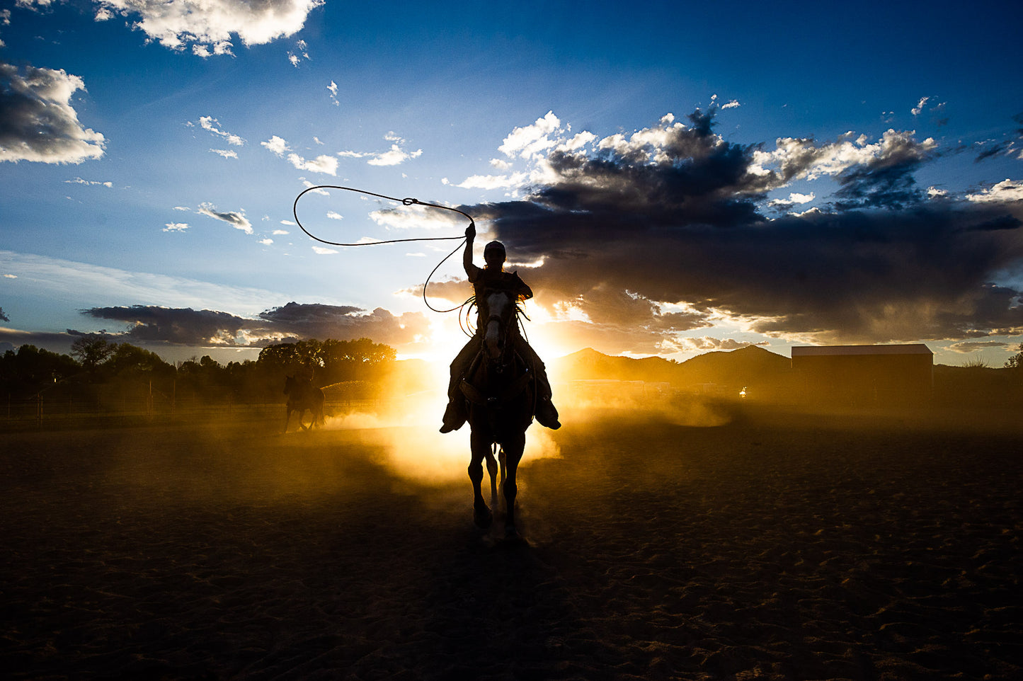 Cattle Roping #3