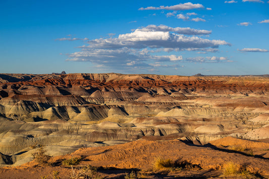 Painted Desert Arizona