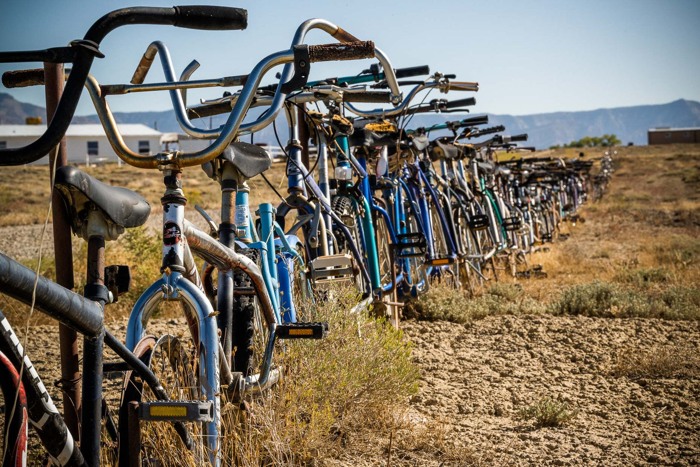 Bikes and Bikes and Bikes