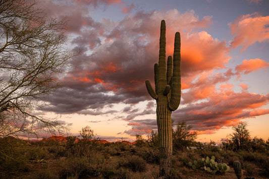 Gold Canyon Sunset