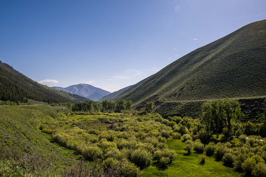 SawTooths Sun Valley