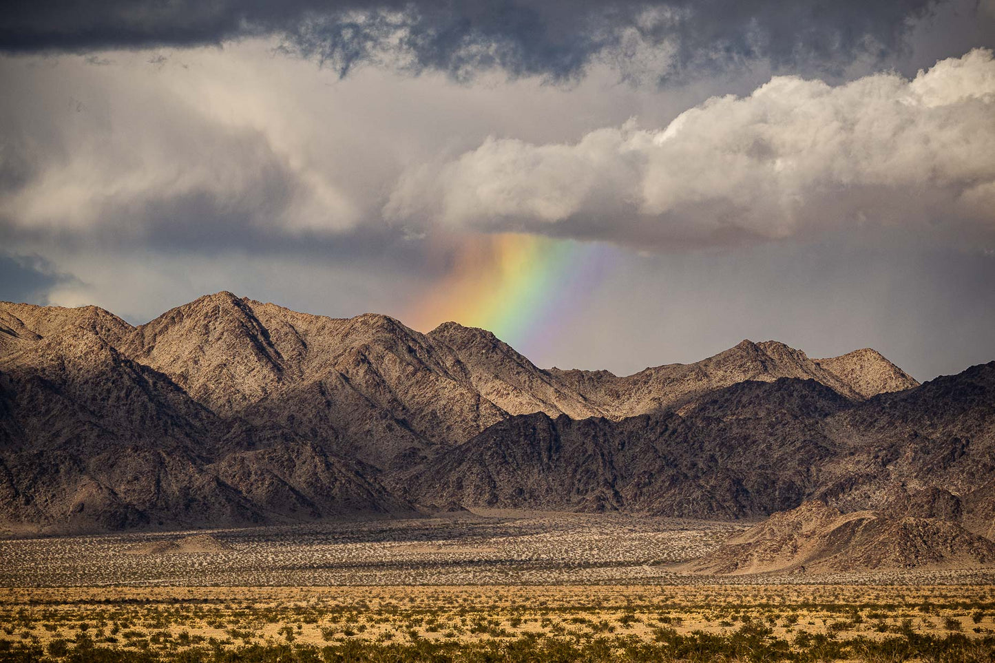 Rainbow over Sheephole Valley Wilderness