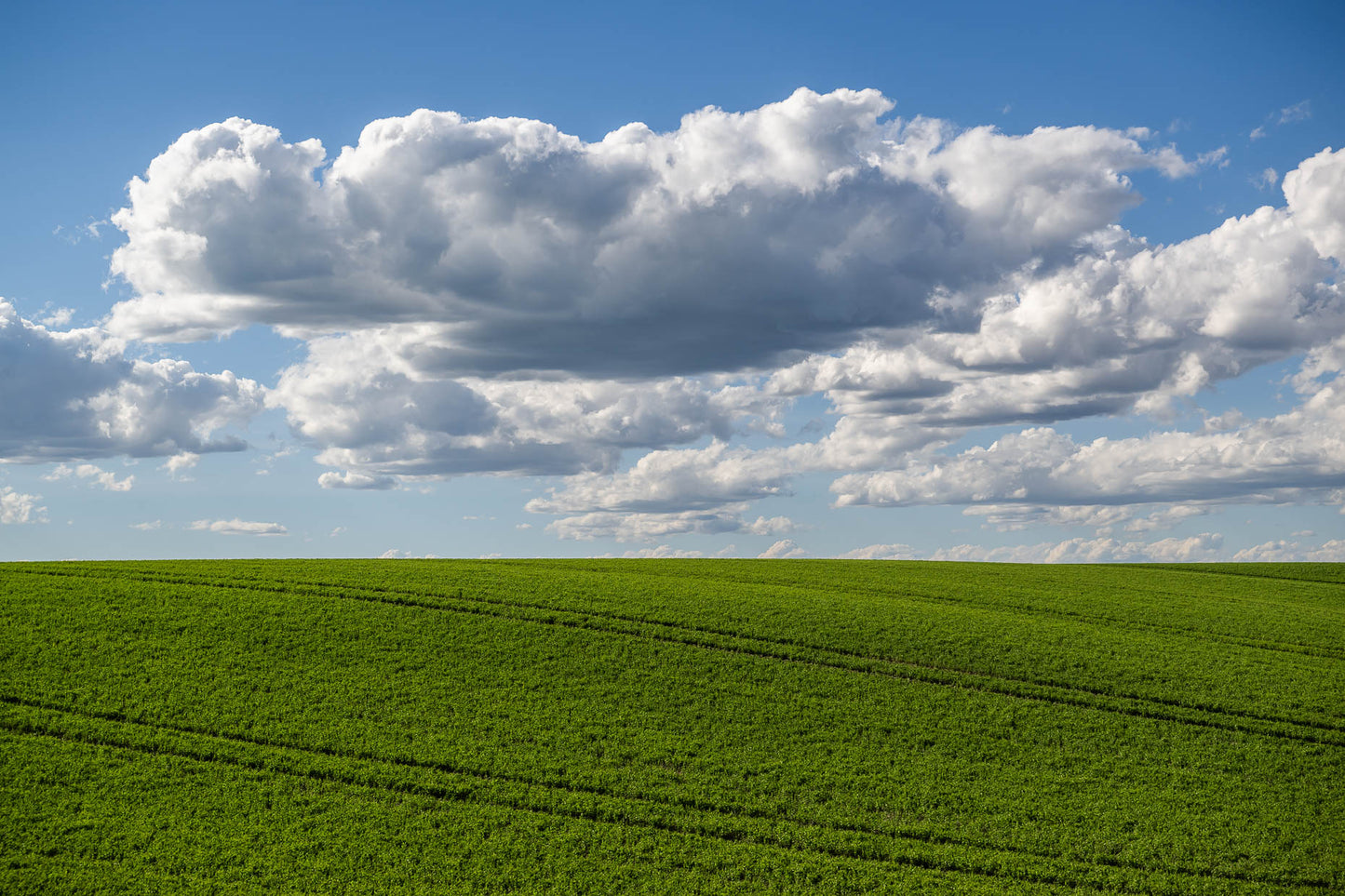 Washington State Farmland