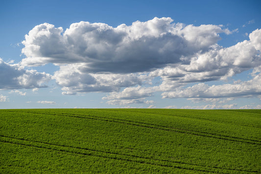 Washington State Farmland