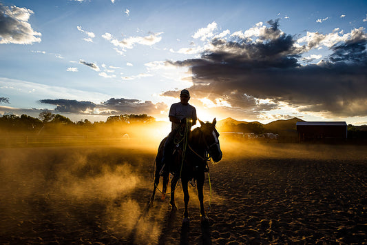 Cattle Roping #4