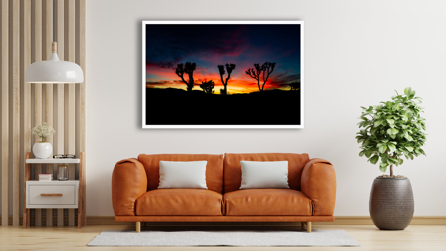 Joshua Tree Sunset